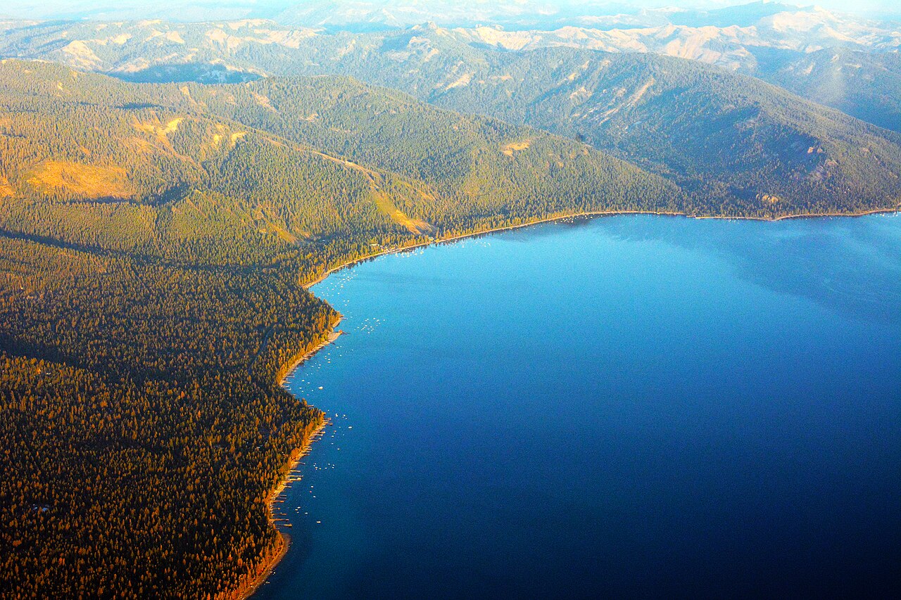 Photograph by Don Ramey Logan, CC BY 4.0, https://commons.wikimedia.org/w/index.php?curid=37903141